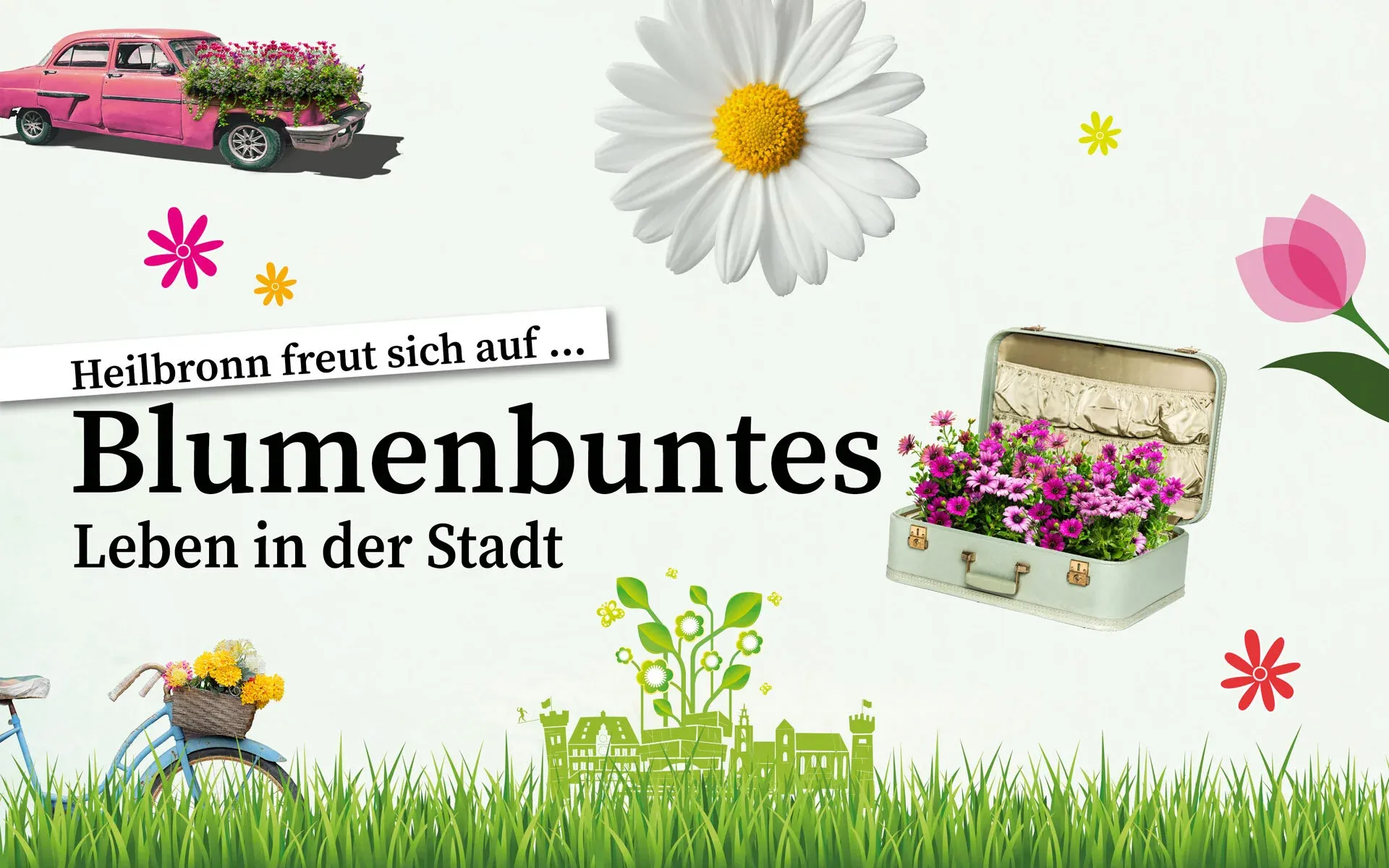 • Presse — Knoblauch-Heilbronn