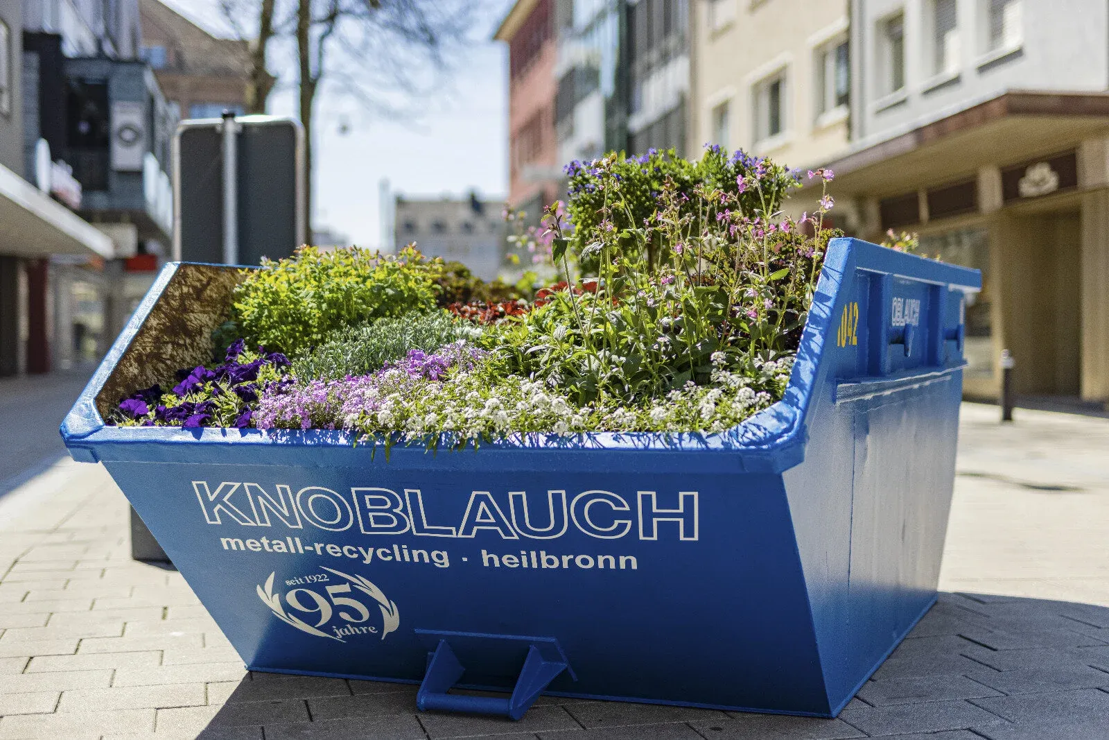 • Presse — Knoblauch-Heilbronn